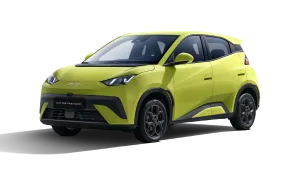 BYD Dolphin Surf Active